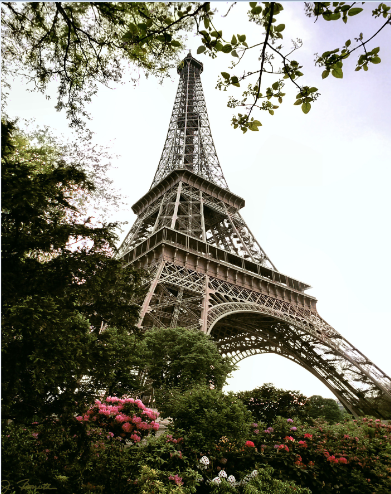 建筑图案 1-z67# Image 9