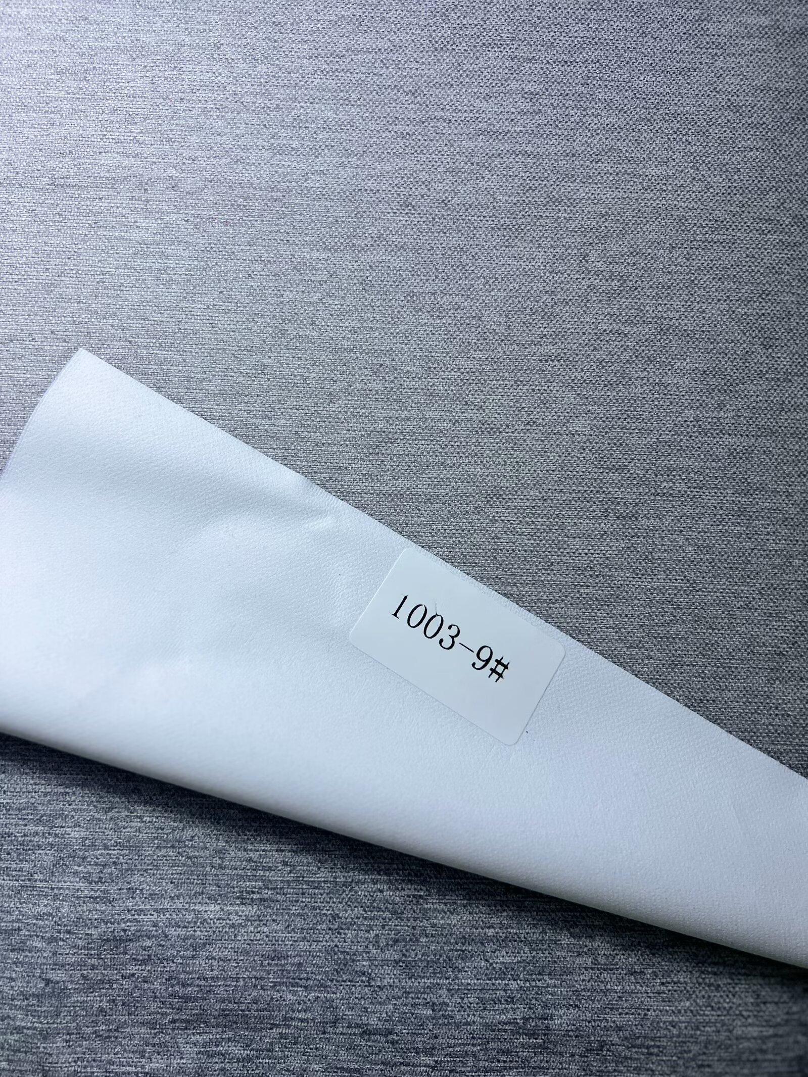 1003# 2
