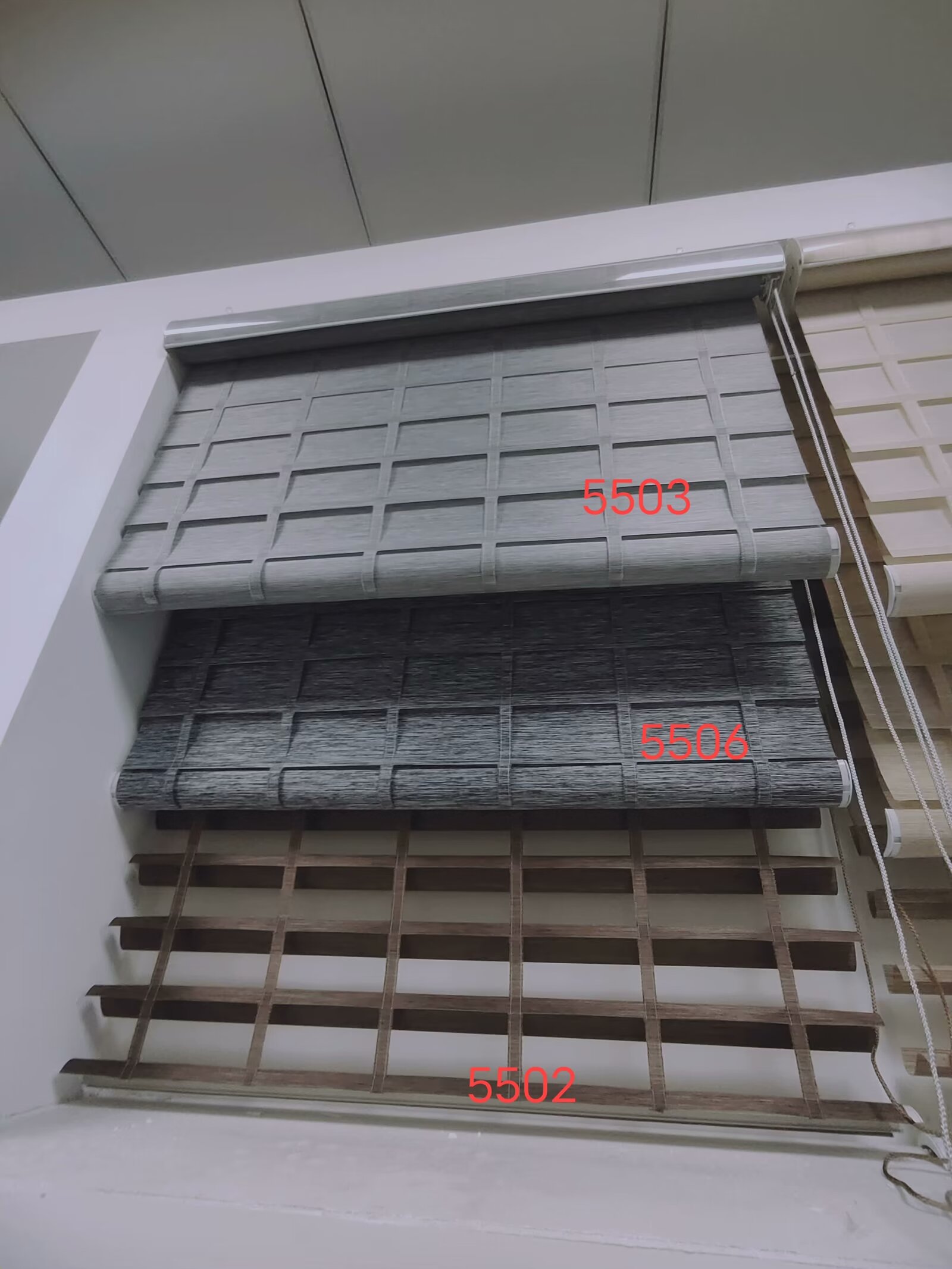 shangrila blinds Color 6