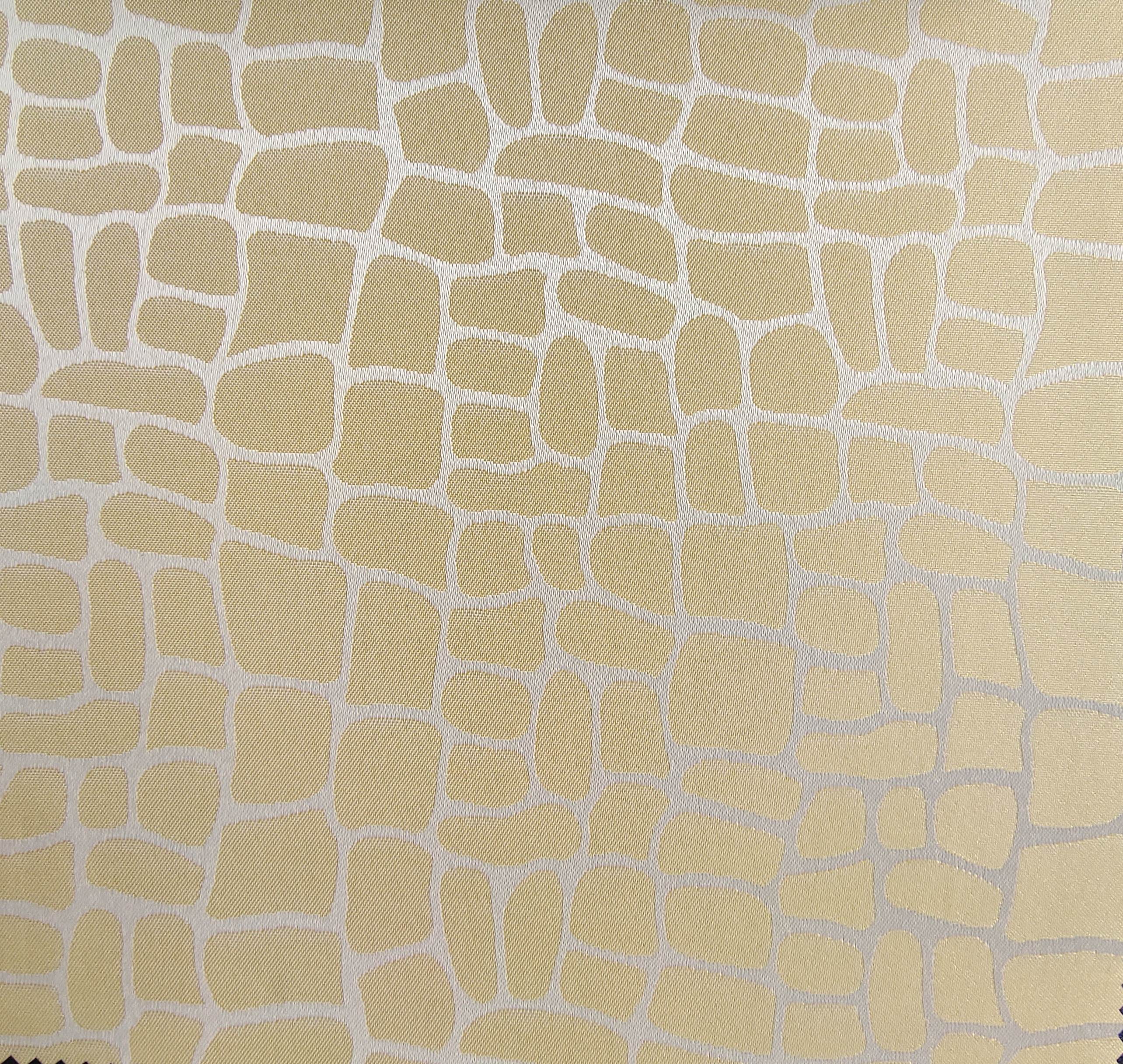 WL8120-WL8126# Color 2